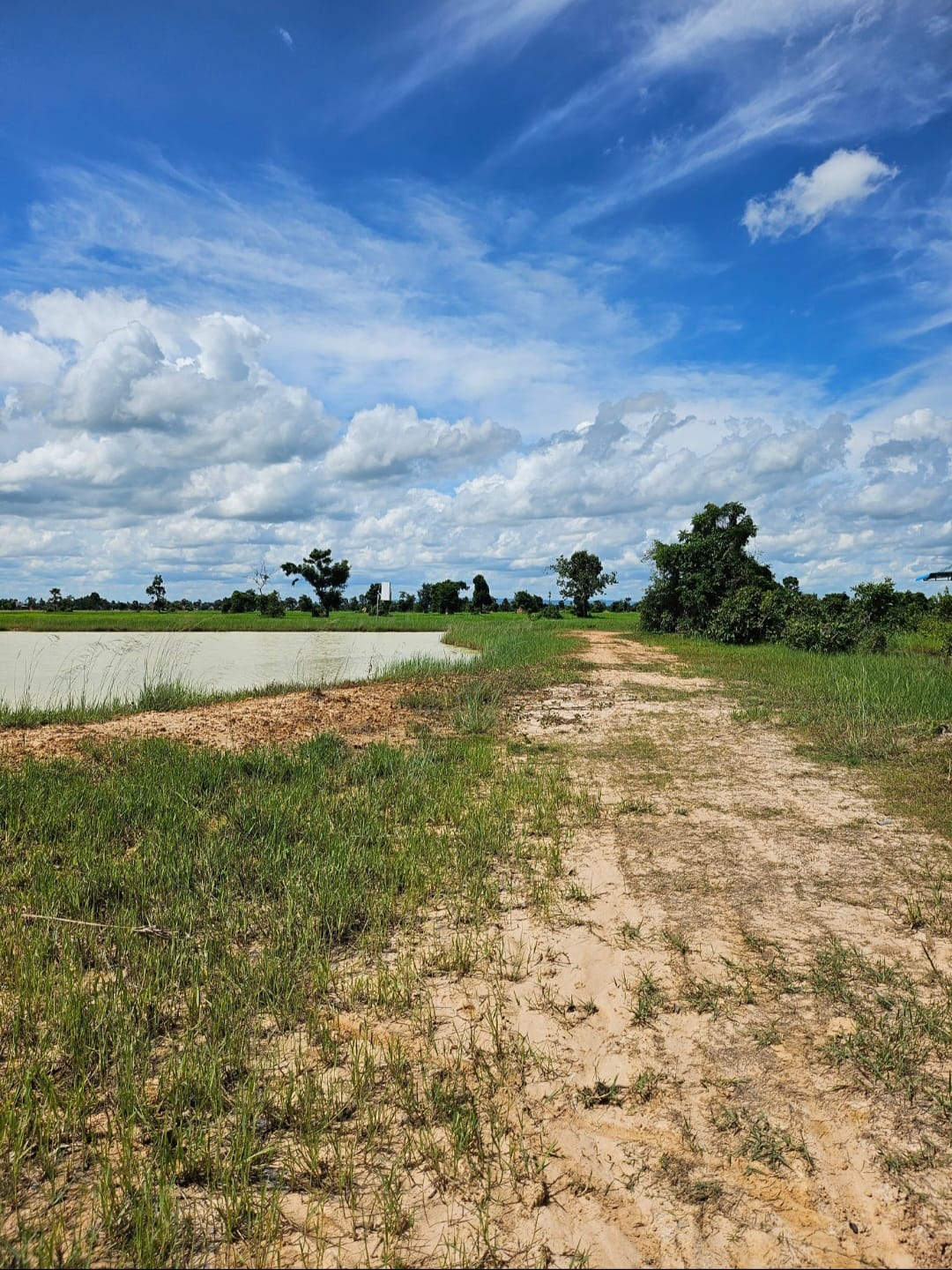 💎 ដីលក់​ នៅខេត្តសៀមរាប