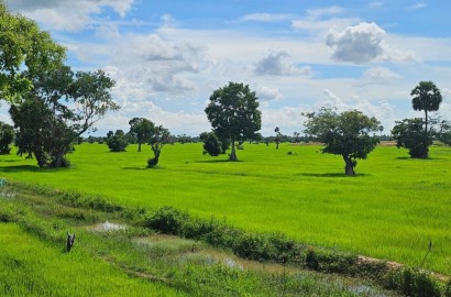 💎 ដីលក់​ នៅខេត្តសៀមរាប